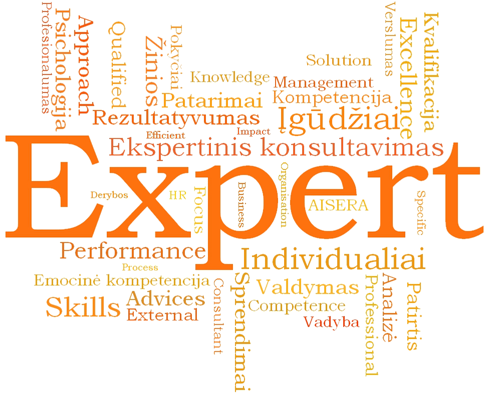 Ekspertinis konsultavimas